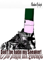 Don't be hatin' my Sneaker Book Cover